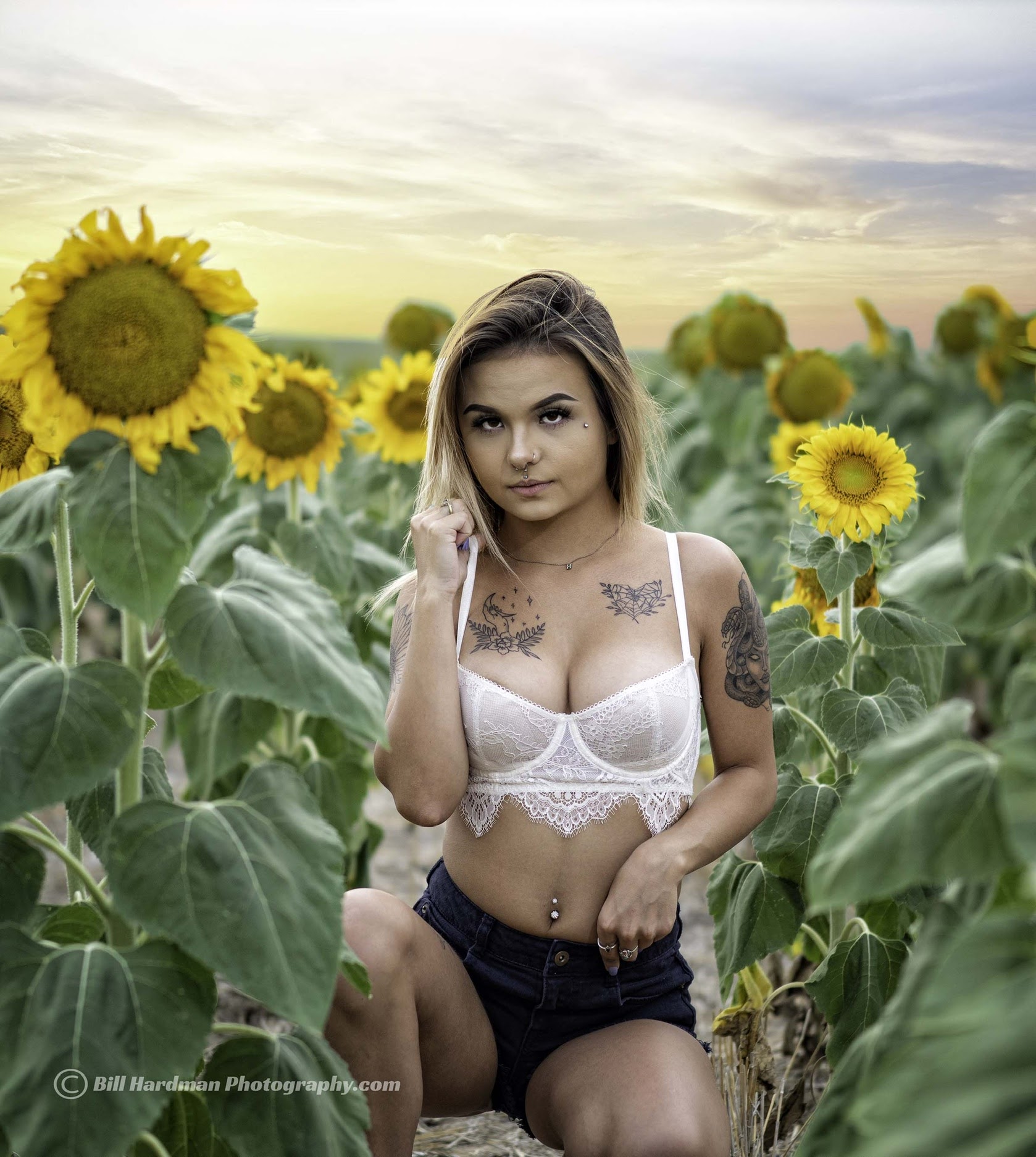 Haley Sunflower 7