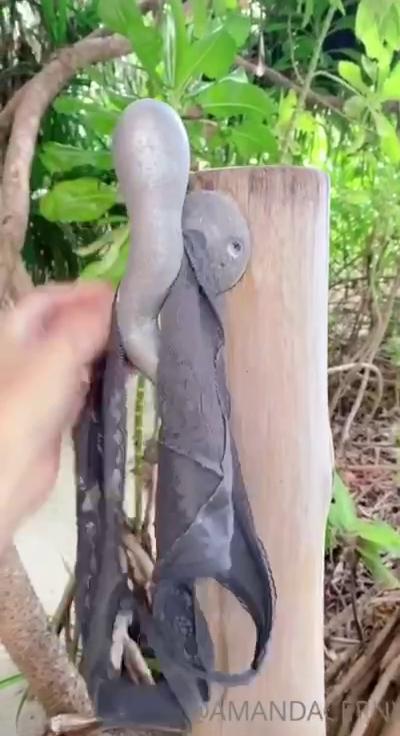 amanda cerny nude outdoor shower onlyfans video leaked NIDIEP