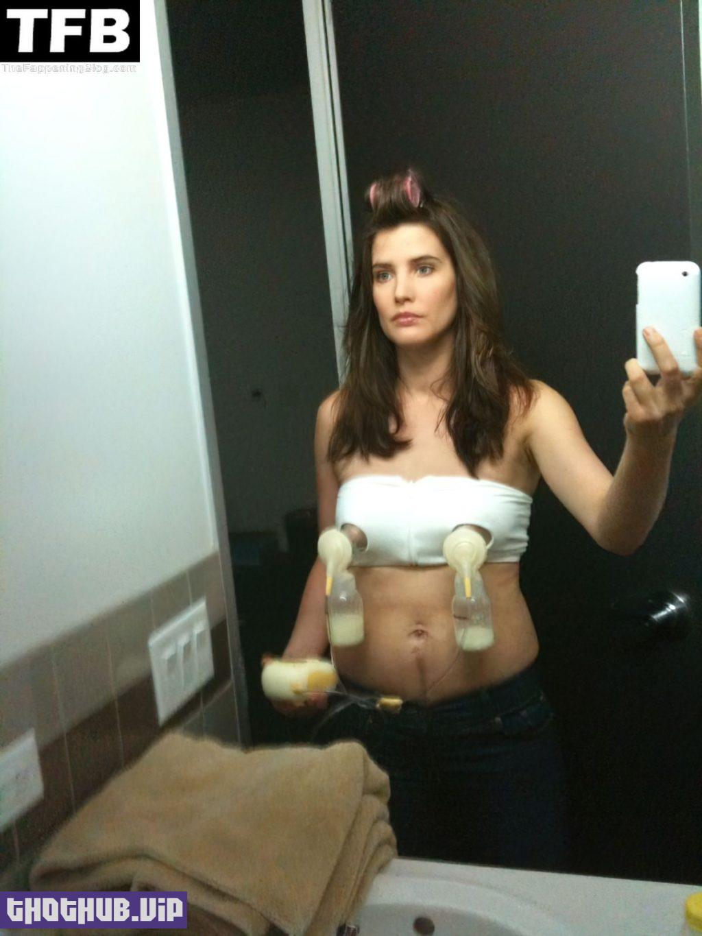 Sexy Cobie Smulders Nude Leaked The Fappening (2 Photos) On Thothub